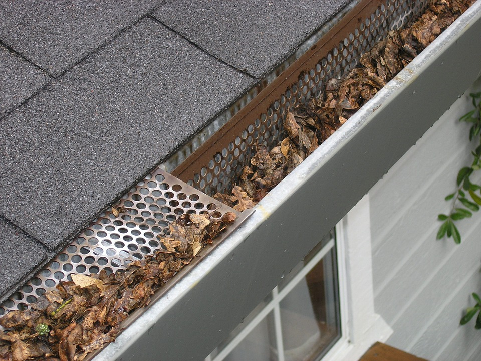 Gutters with leaves